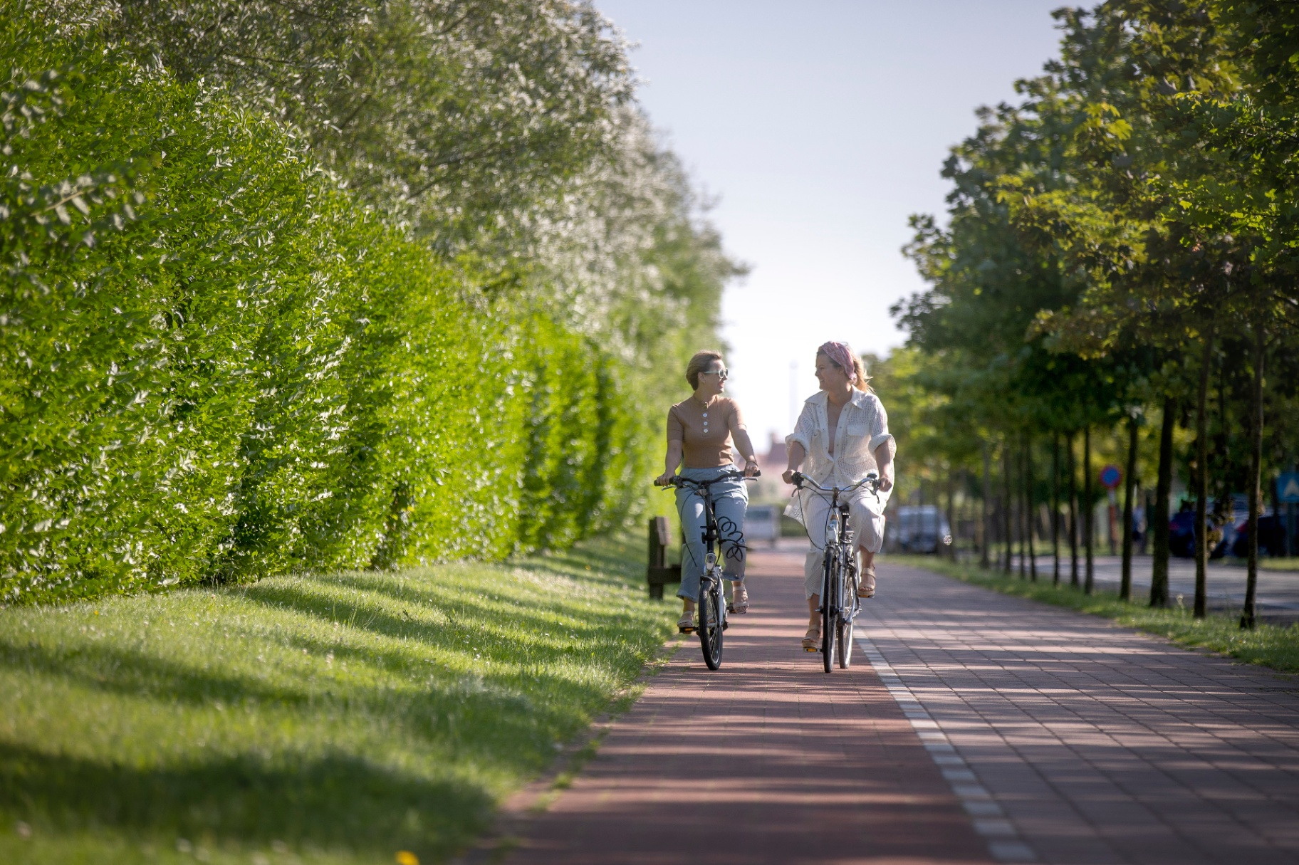 Fietsroutes — recreatie bij Park Haerendycke